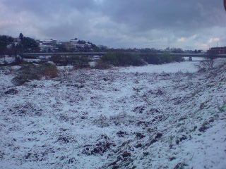 e0086292_1041409.jpg