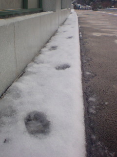 e0086292_10422978.jpg