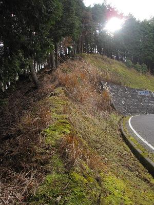 c0118495_2345994.jpg