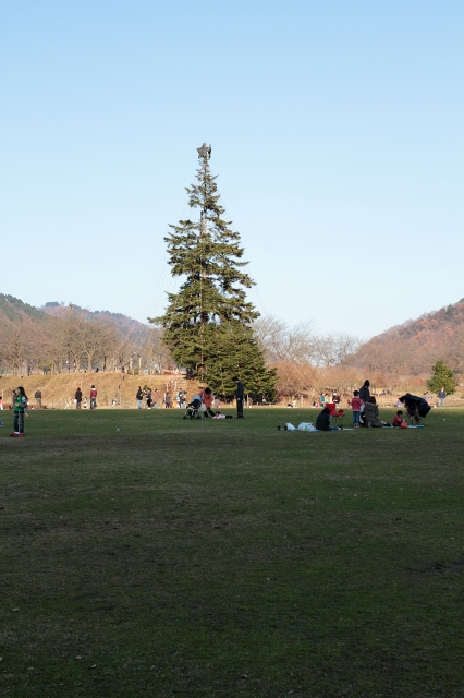 f0110195_1742631.jpg
