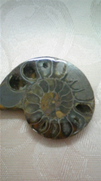 b0146998_6275376.jpg