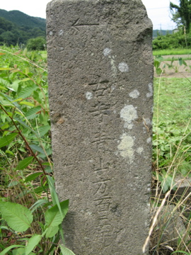 a0117599_21242320.jpg