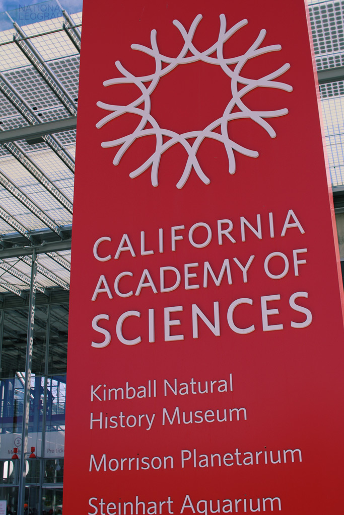 c0080101_1653624.jpg