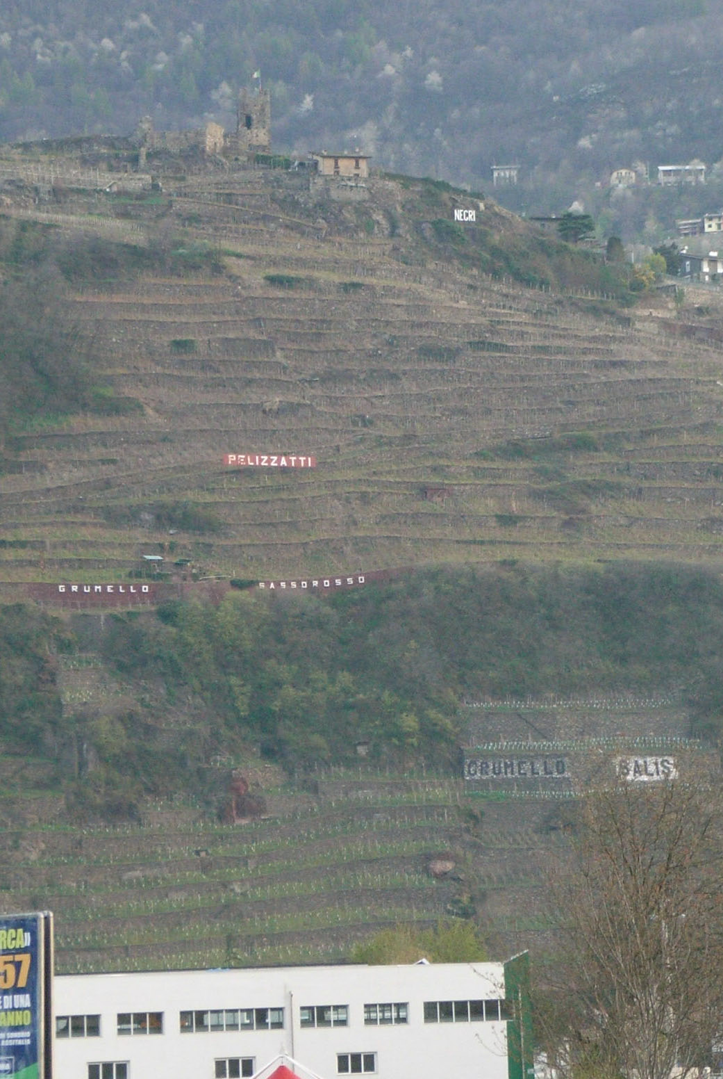 c0109306_16143732.jpg