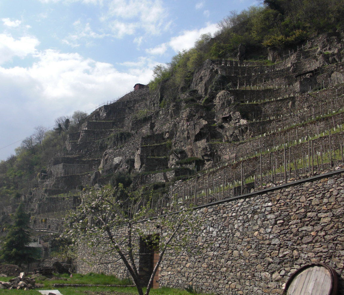 c0109306_16282169.jpg