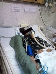 e0103408_13262238.gif