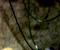 e0103408_13331657.gif