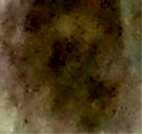 e0103408_1334521.gif