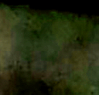 e0103408_13355159.gif