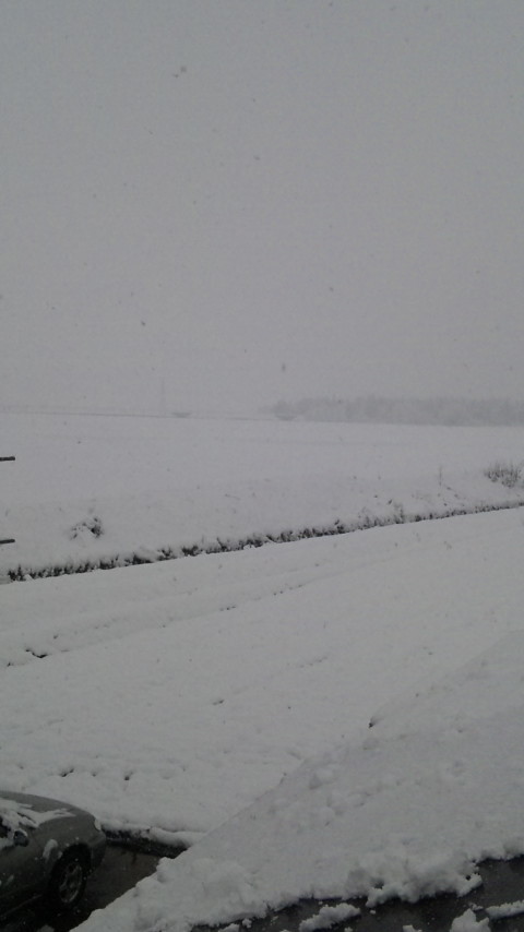 f0121909_983610.jpg