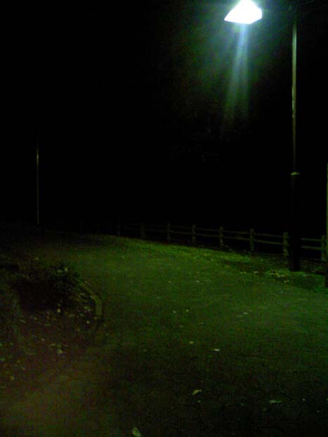 c0083518_843981.jpg