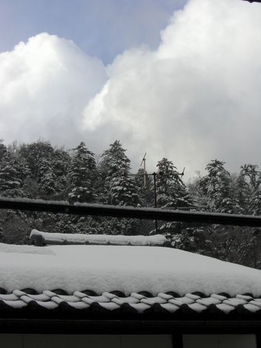 c0152123_1433572.jpg