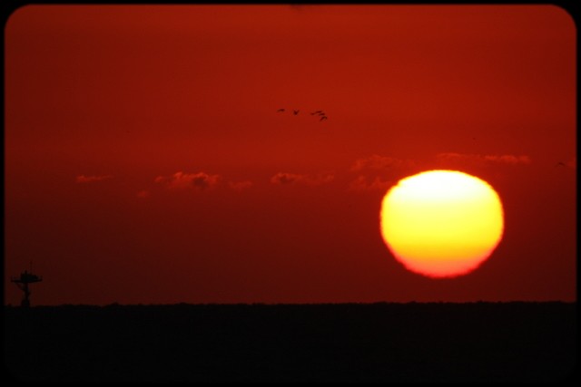 b0173833_775922.jpg