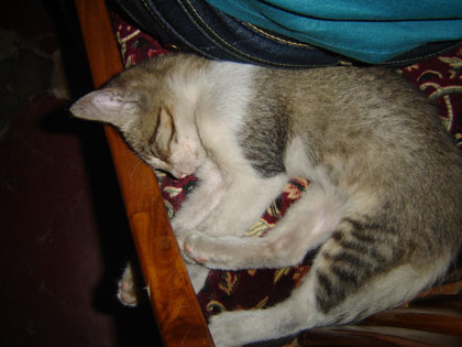 c0024135_227464.jpg