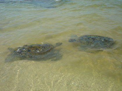 c0024135_2283214.jpg