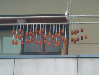 c0183137_22463136.jpg