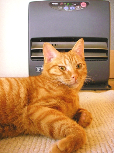 a0034438_145930.jpg