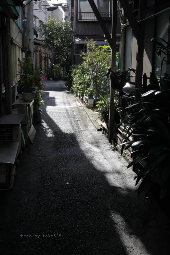 a0116946_645589.jpg