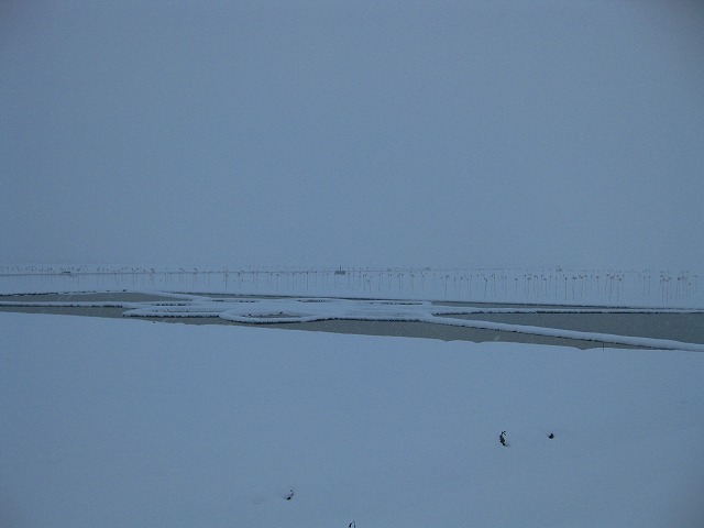 b0179047_20461563.jpg