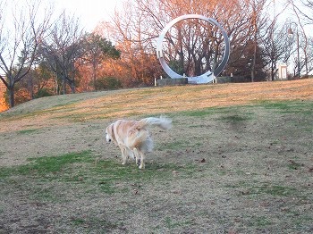 c0097558_2149417.jpg