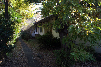 c0201763_0374949.jpg