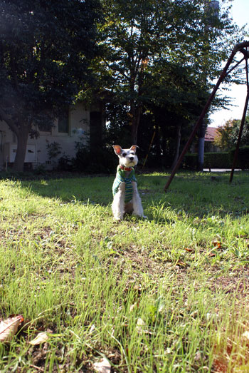 c0201763_043165.jpg