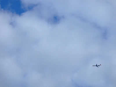 d0102664_1183841.jpg