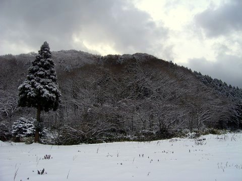 b0130166_12212048.jpg