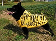 e0002466_2001710.jpg