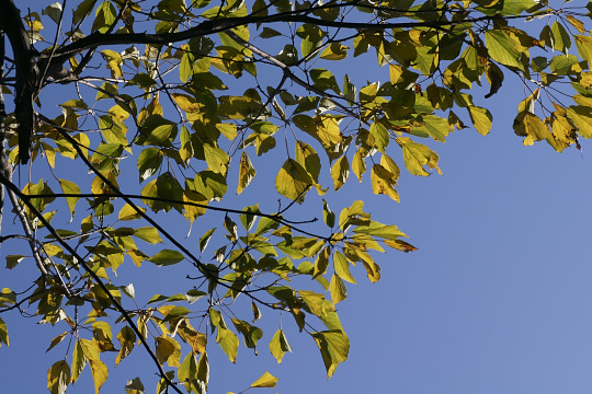 e0054067_0344246.jpg