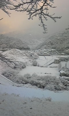 e0143667_1717610.jpg