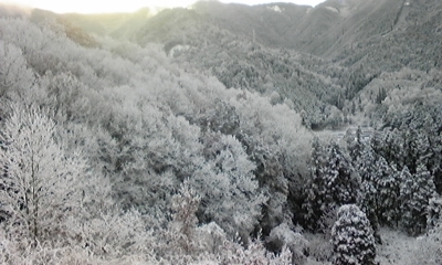 e0143667_17232322.jpg