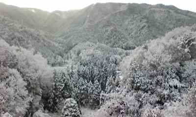 e0143667_17233428.jpg