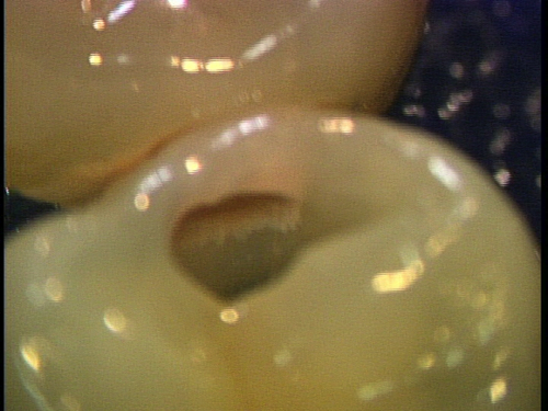 e0004468_1953883.jpg