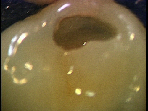 e0004468_1955052.jpg