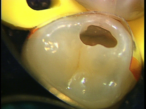 e0004468_1962095.jpg