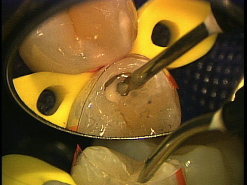 e0004468_1963695.jpg