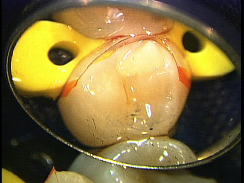 e0004468_1965431.jpg