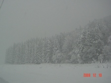 c0057781_1622518.jpg