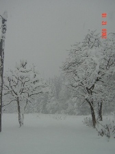 c0057781_162513.jpg