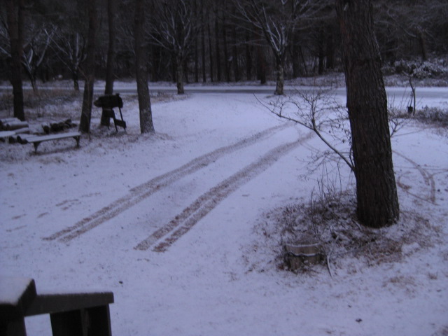 c0119385_16444117.jpg