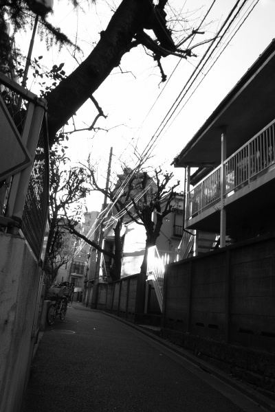 e0051186_19511939.jpg