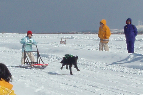 e0152186_11201341.jpg
