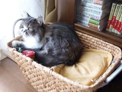 なに見てるの?