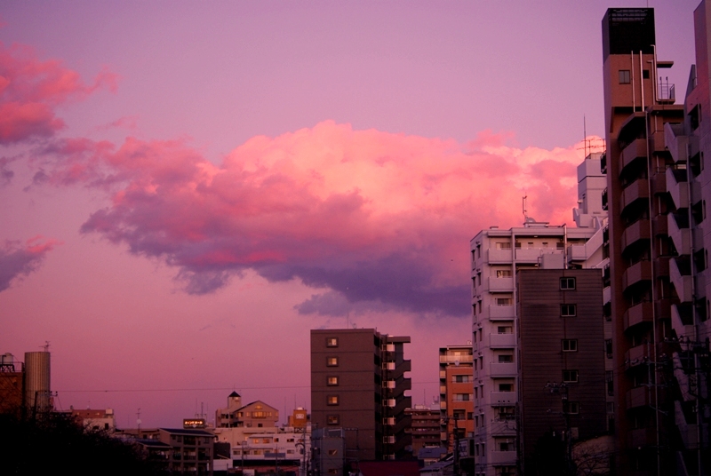 c0125596_17125414.jpg