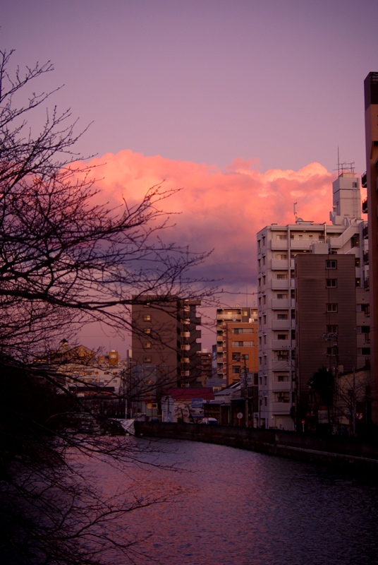 c0125596_1714516.jpg