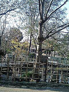 c0138198_1805961.jpg