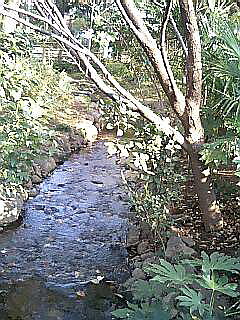 c0138198_1825262.jpg