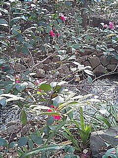 c0138198_1843566.jpg