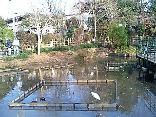 c0138198_1863152.jpg